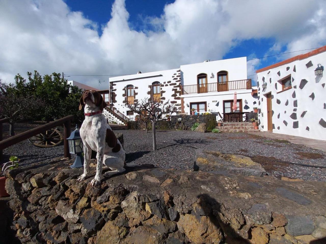 Las Casas Del Abuelito Julian & La Abuela Leonor Isora Buitenkant foto